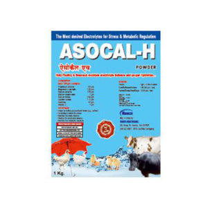 Asocal H Powder